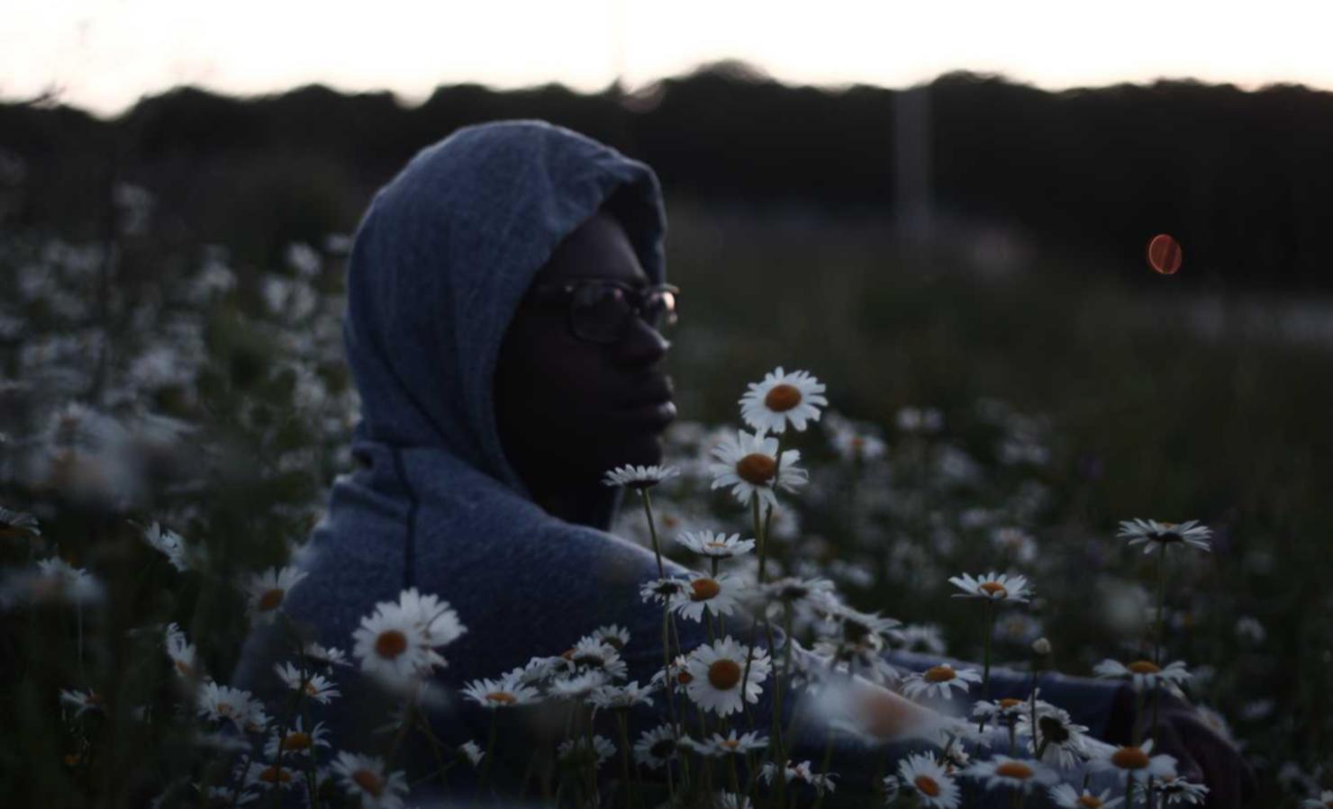 星美生活实名账号:文货平台找谁开户