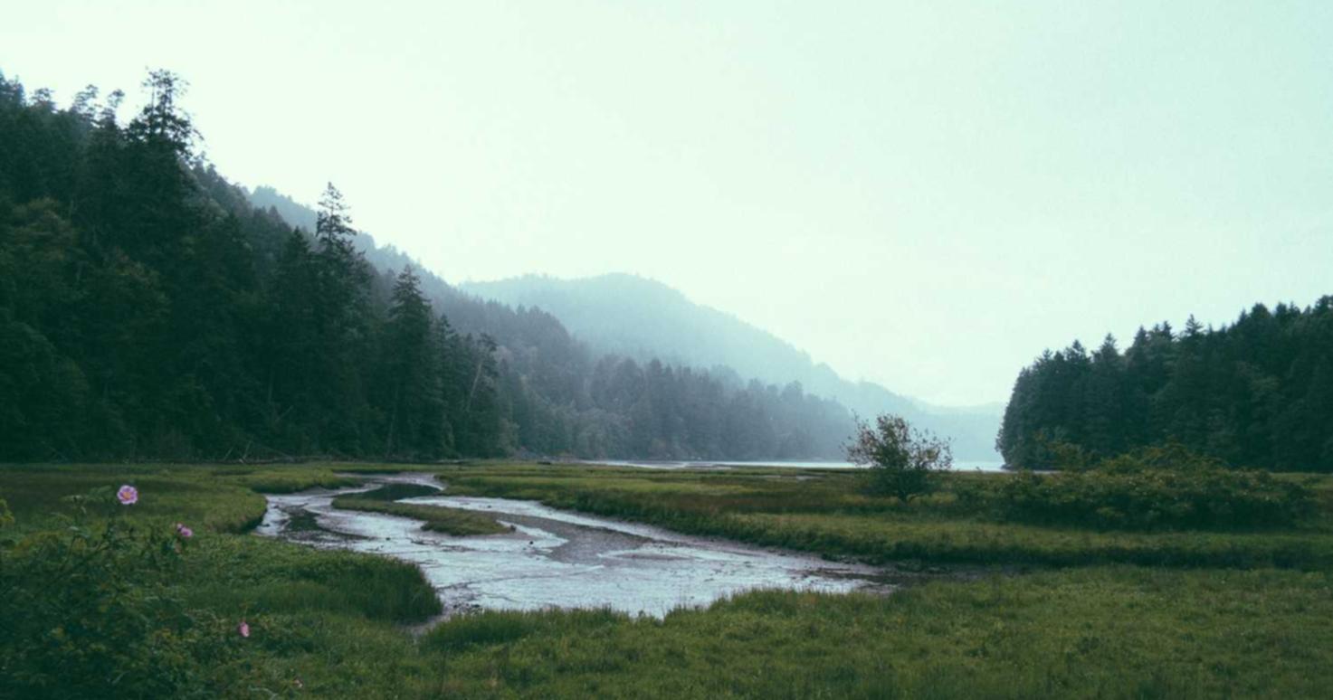 “为什么游戏开发者一定要宣誓打击技术支持？”。 