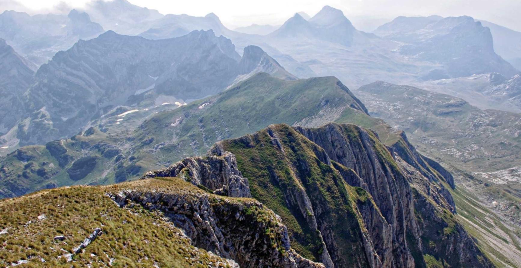 欧盟蓝登喜路:和平精英神盾科技购买平台