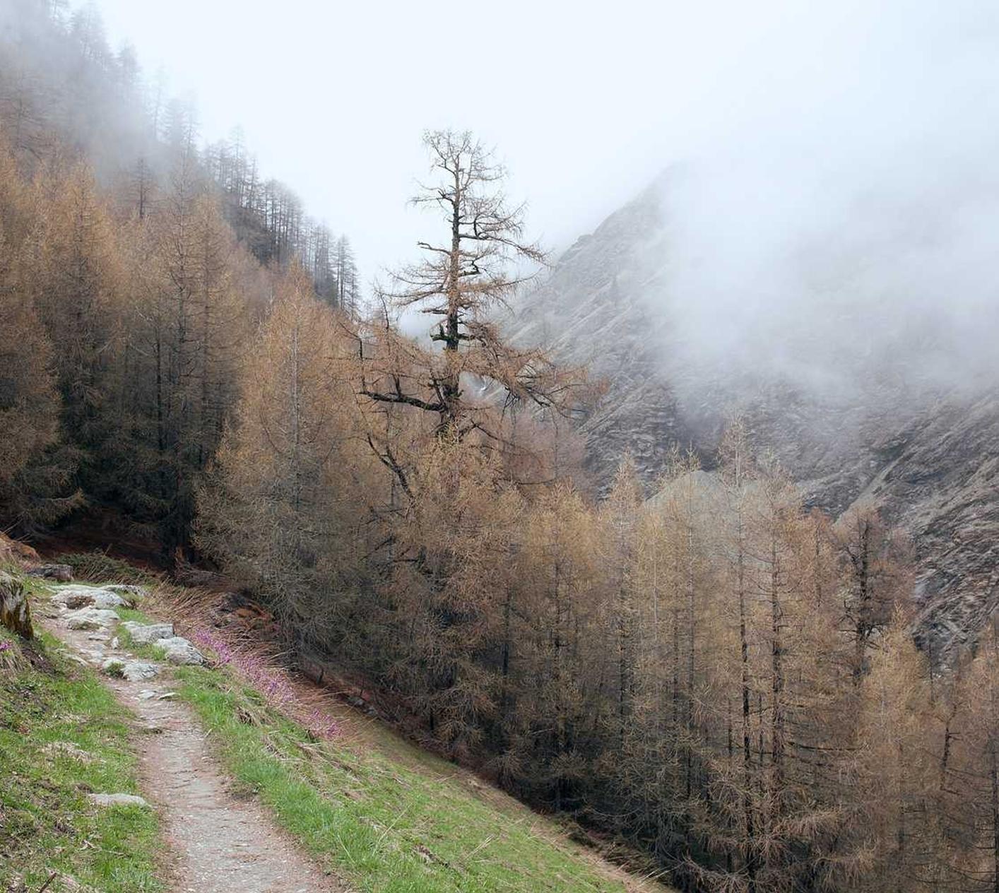 解读DDOS自动化工具攻击工具- 陪聊平台推广代理传销