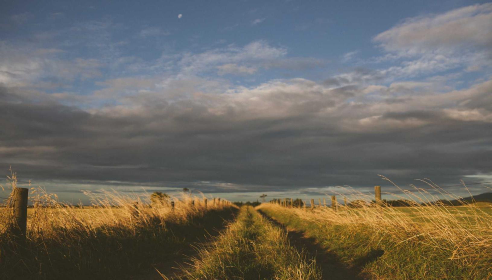 国外微信号:手机短信营销中的数据分析和建模