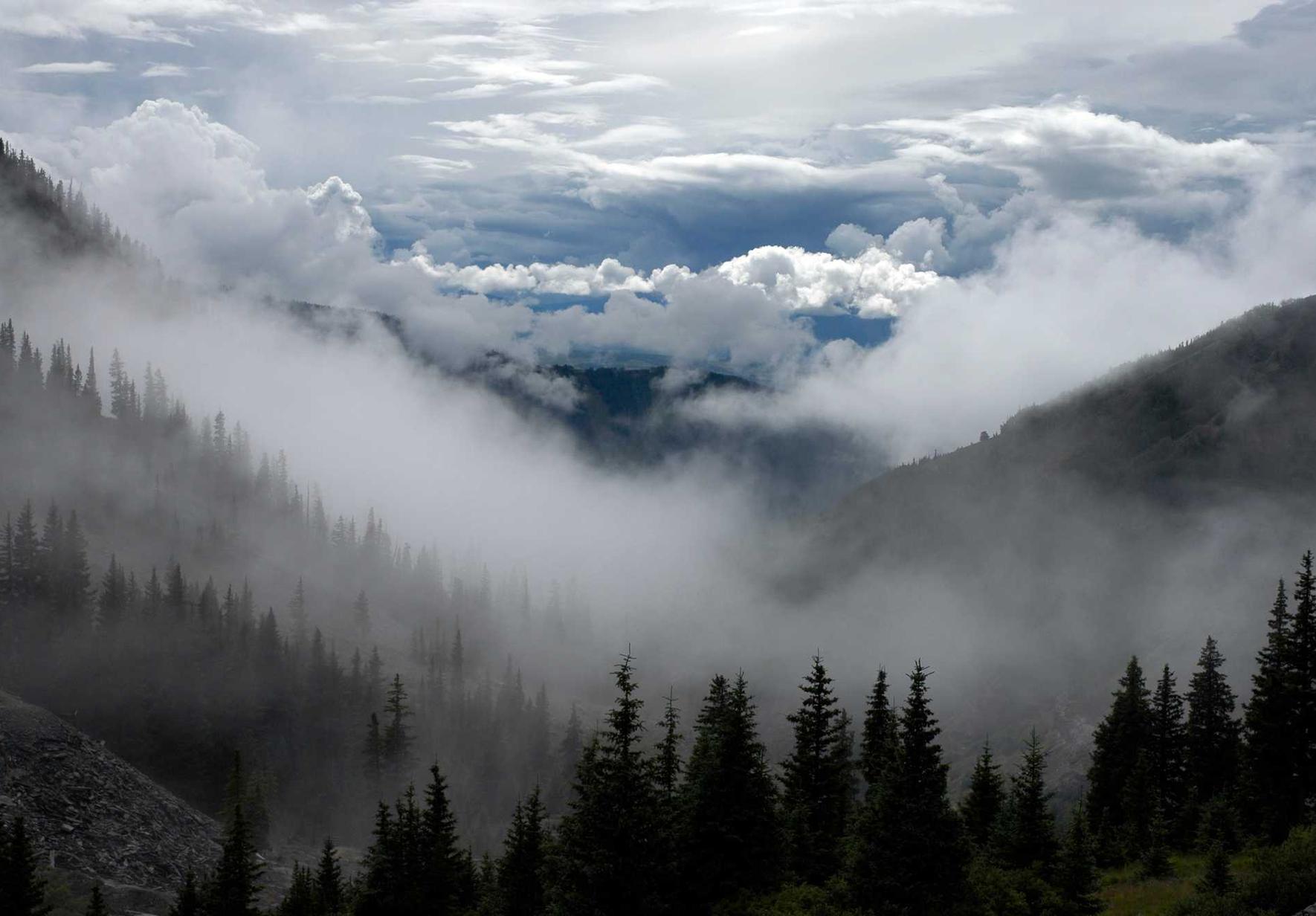 芝麻开门实名账号：雅图官网怎么注册账号