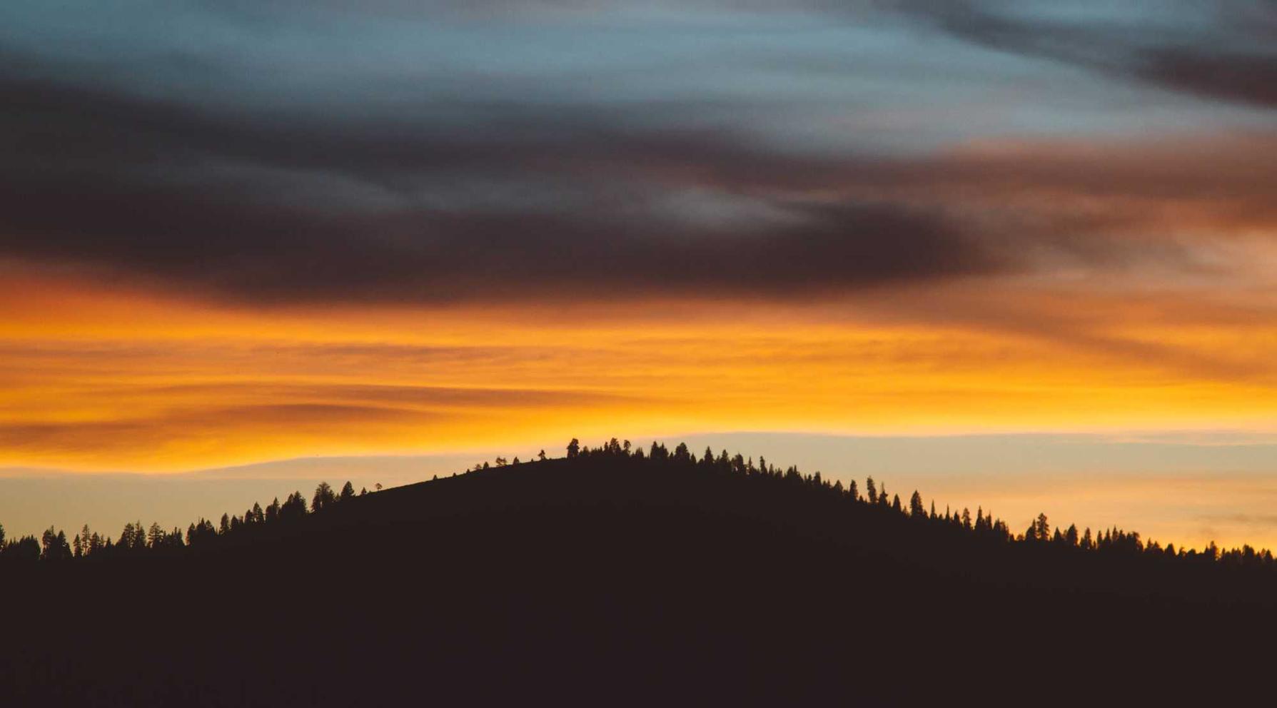 激战2 steam版：红桥公司注册代理机构