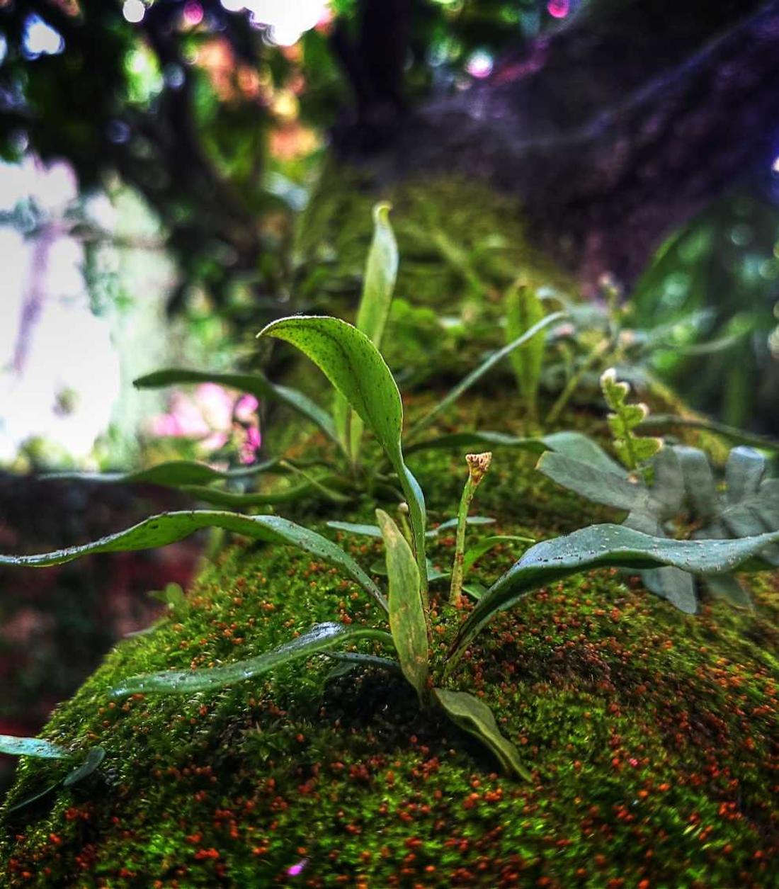 通话实名流量卡- 黑龙江面膜代理服务平台