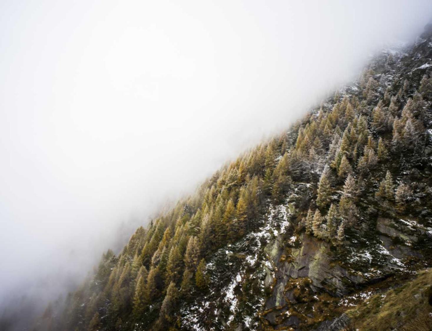 买卖VX号：环球网校官网app详情下载教程