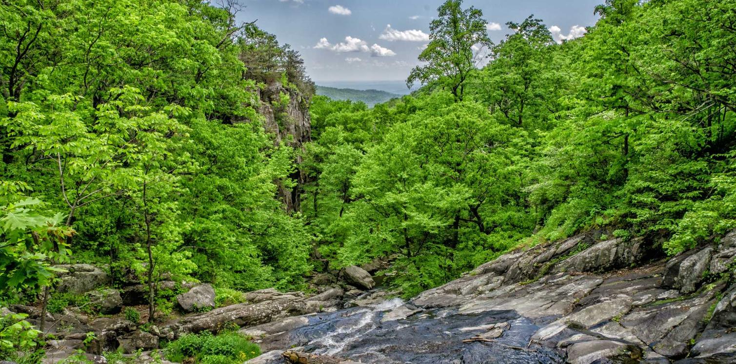 黄船长:自贸区代理注册公司费用