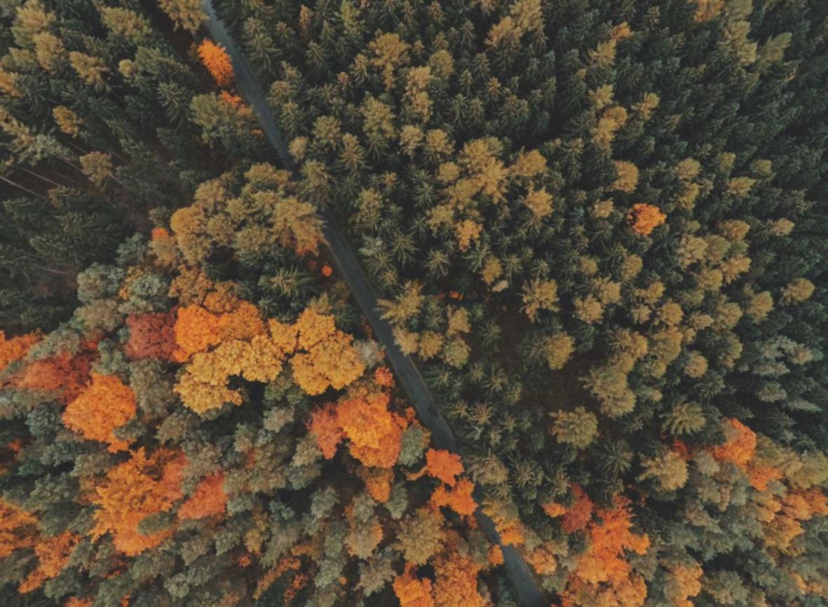 华纳云实名账号:流量卡的协同创新和合作伙伴策略介绍