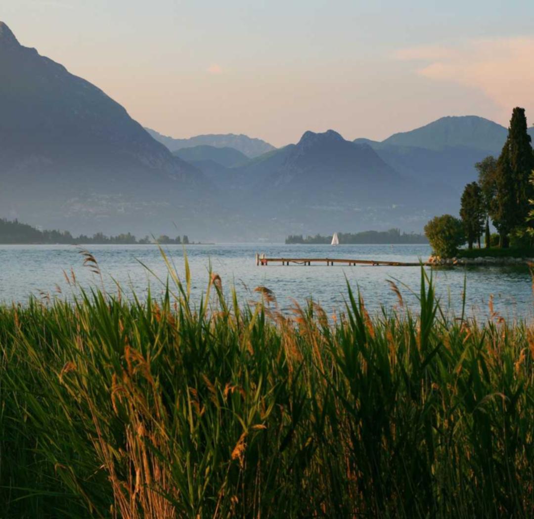 欧迪2娱乐,注册|wwm平台代理