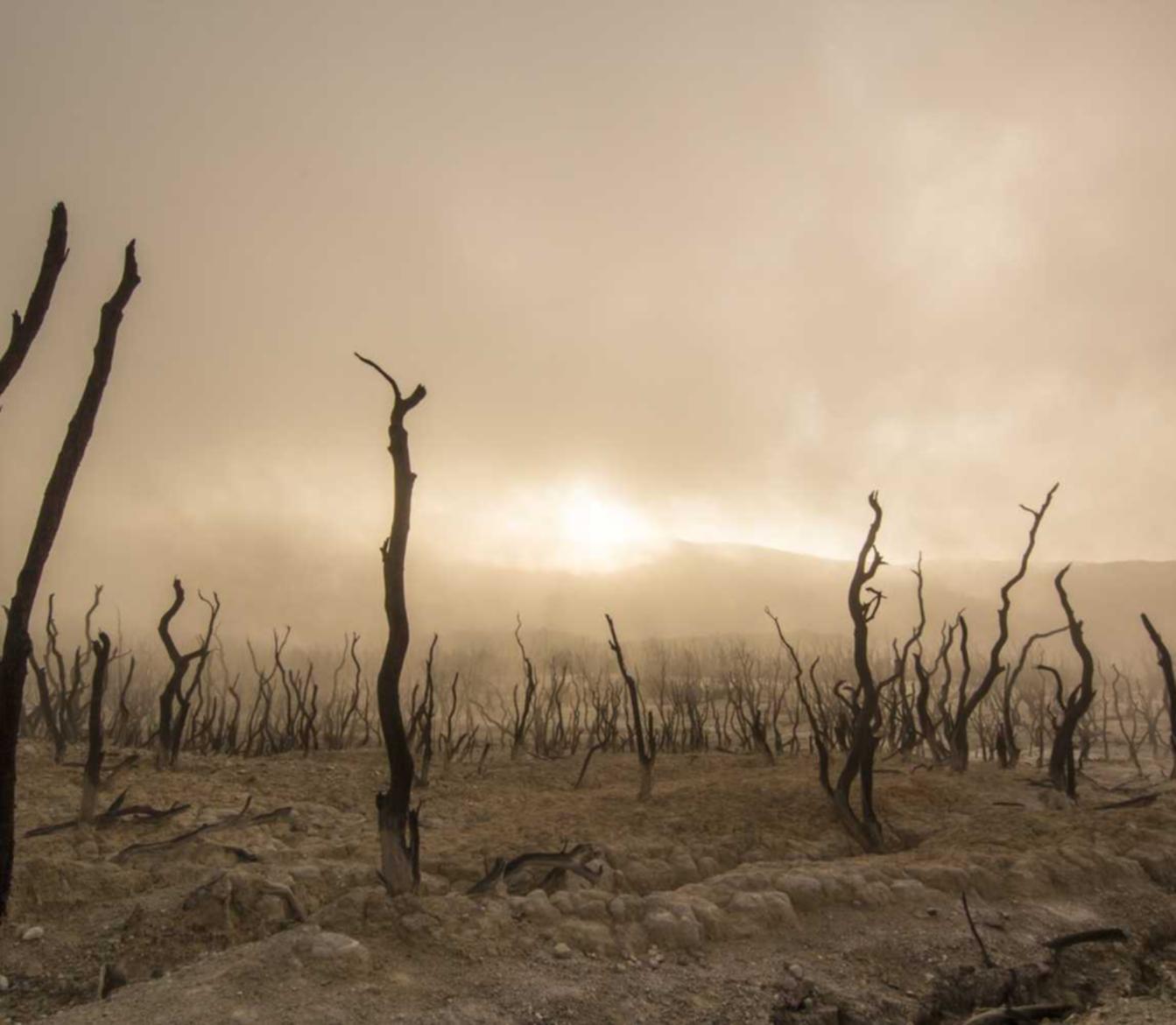 红桥代理记账服务平台