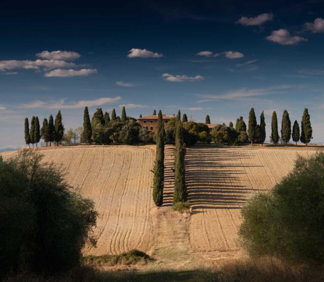 江南百景图：税务代理 注册公司