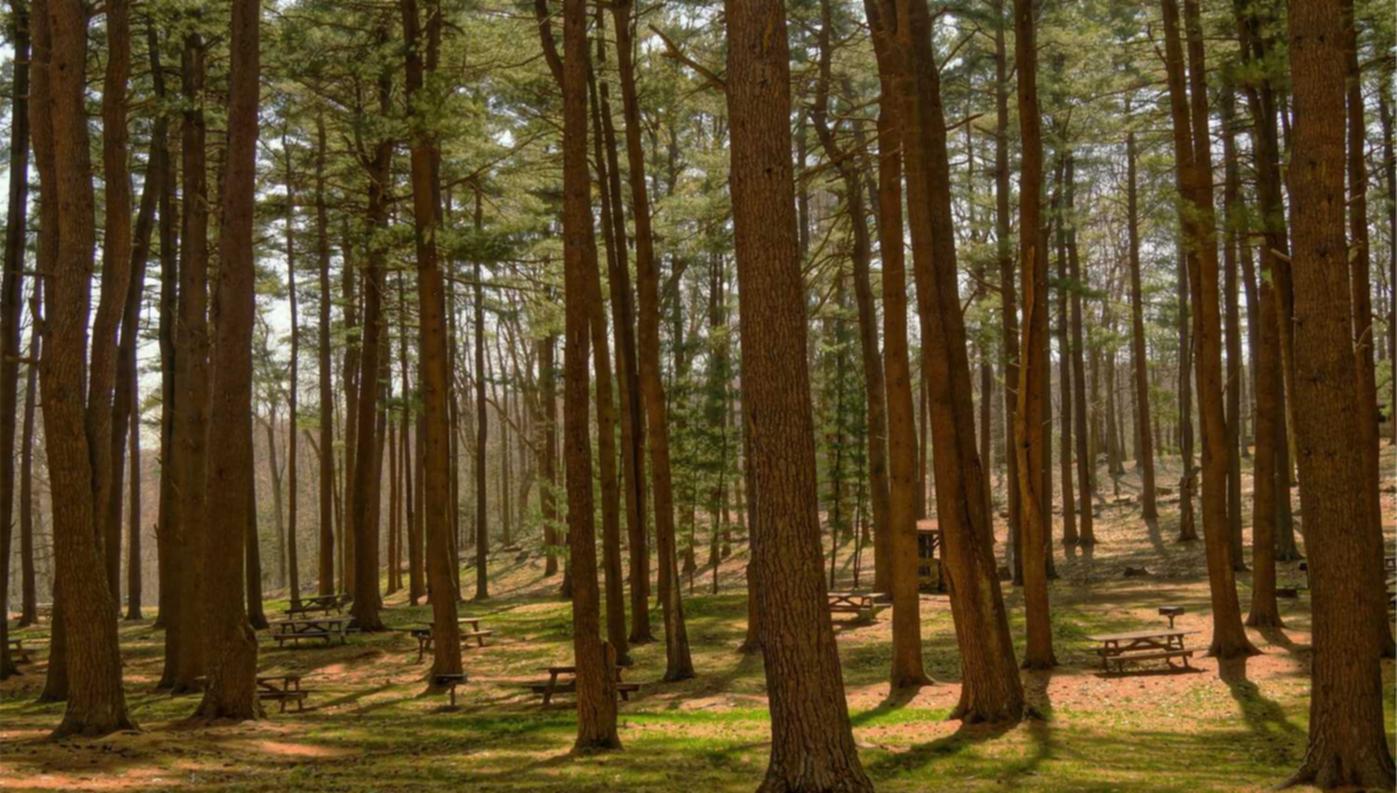 DDOS攻击|自贡门票 购买平台