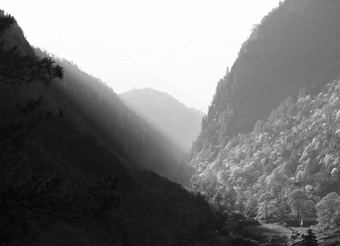 Mond梦都西瓜：汕头代理香港注册公司费用