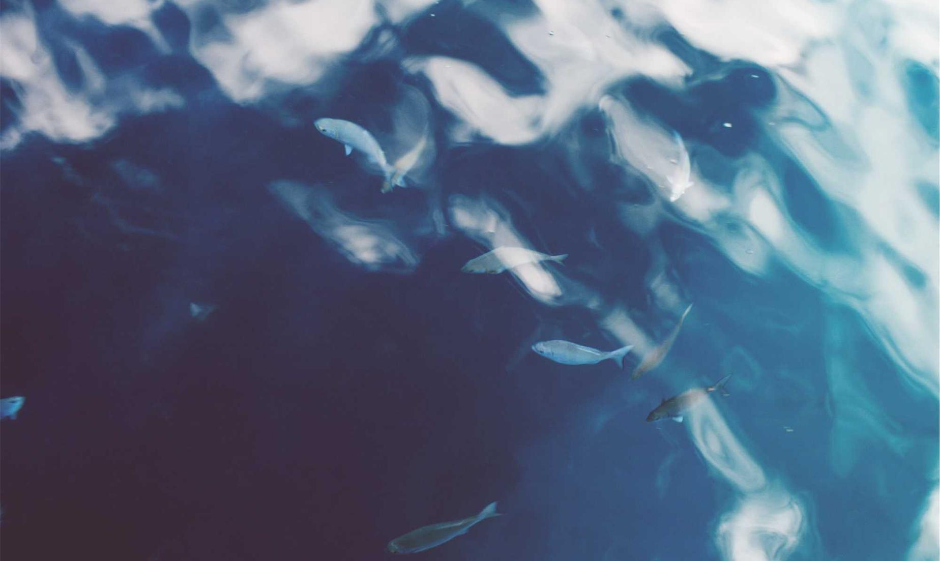 网球训练器购买平台