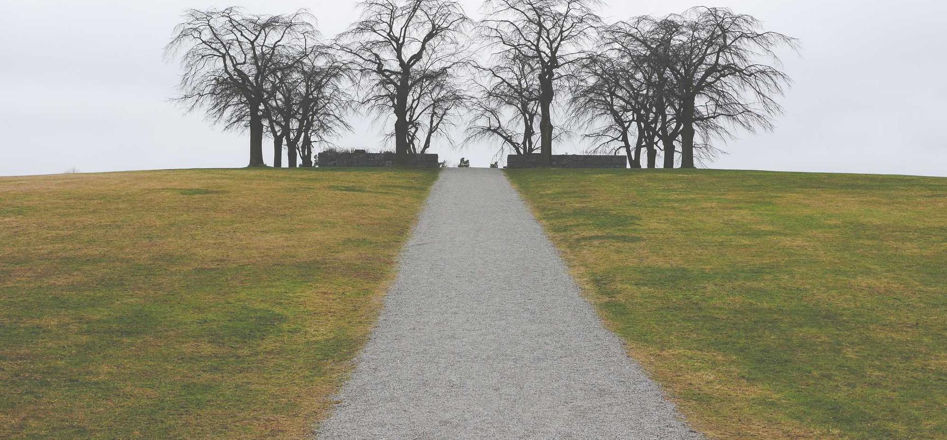 小皮面板- 飞鸽互联官方账号注册