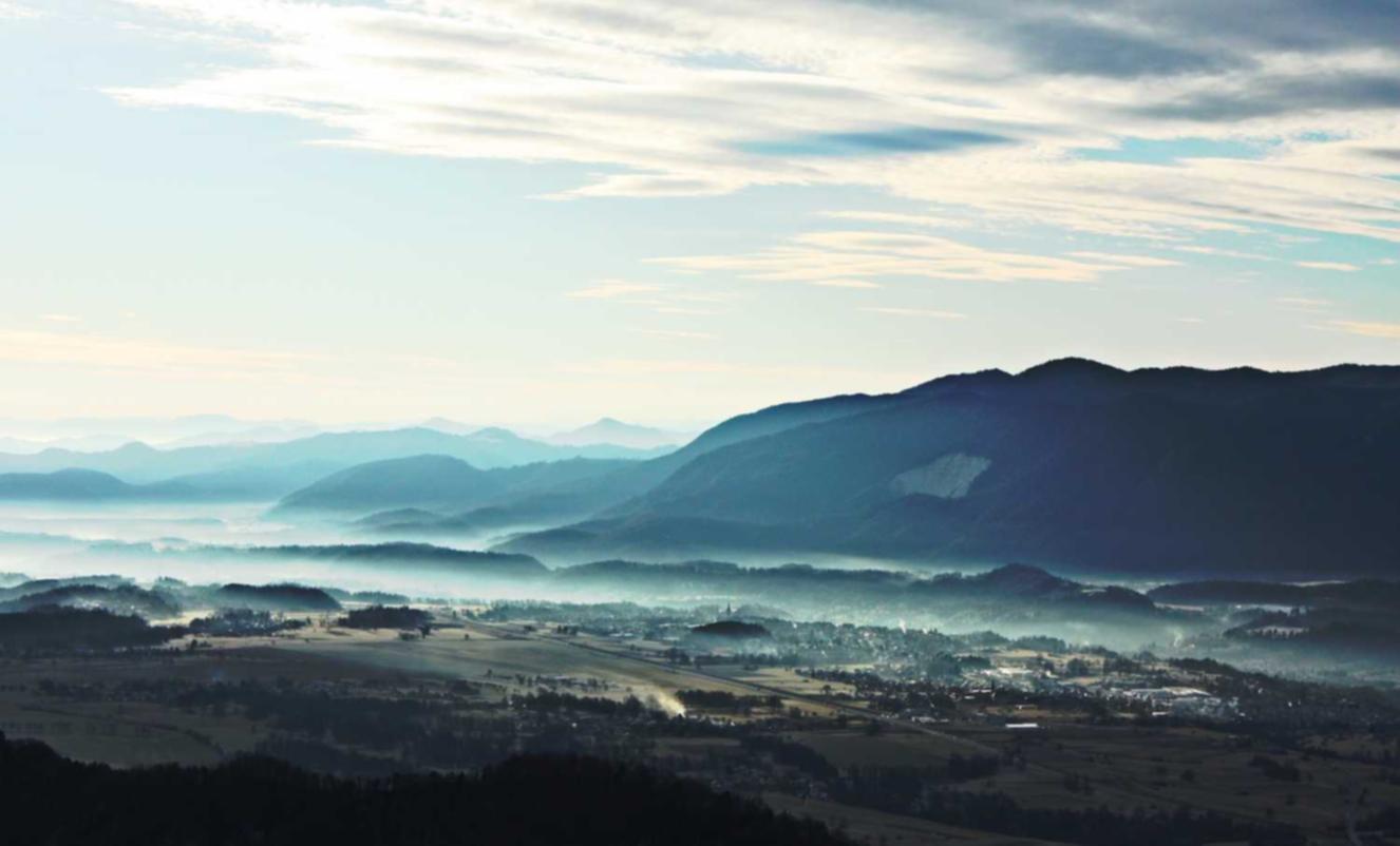 罗密欧1号（15支）（5盒）：哈尔滨云平台代理