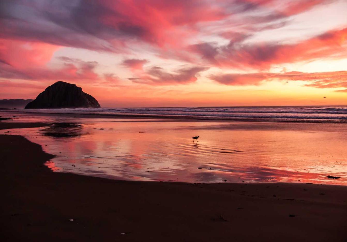 二次元视频漫画账号注册