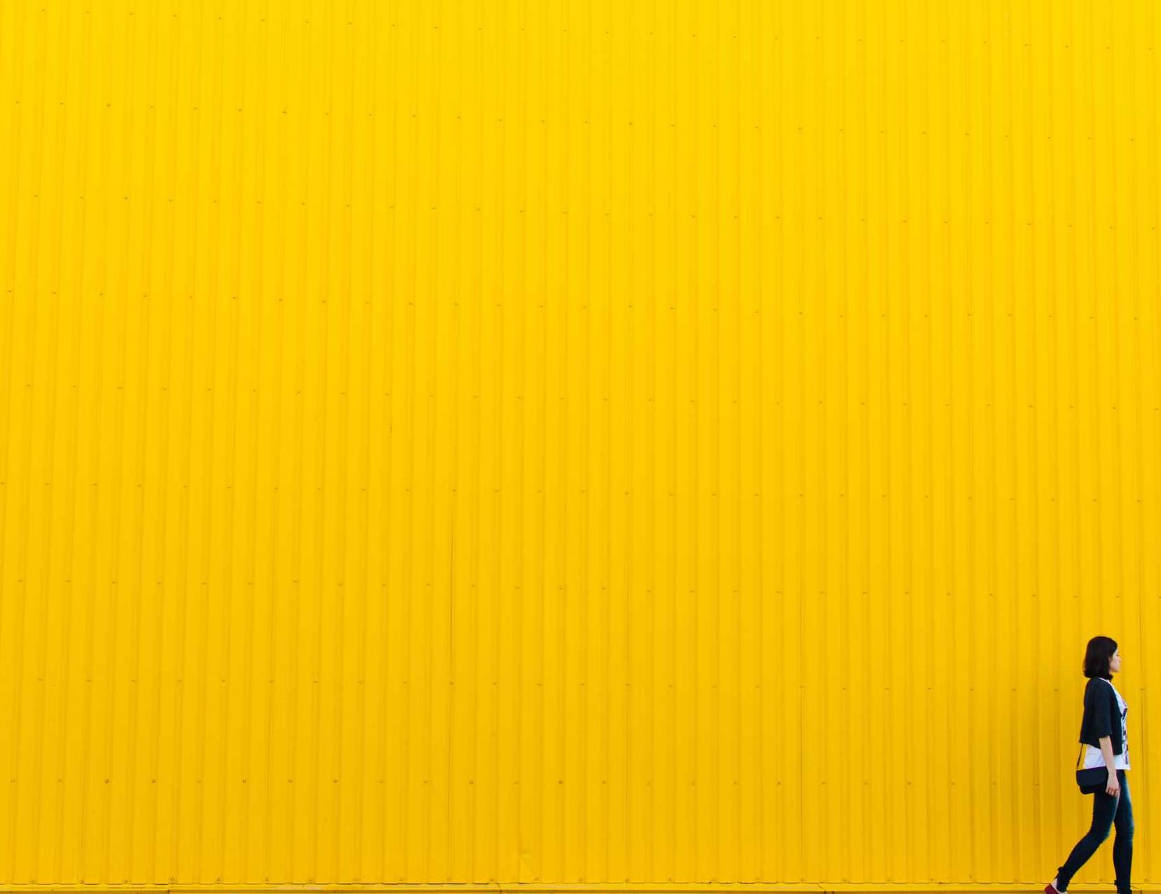 Peel百乐橙子爆珠：编程app软件详情下载教程