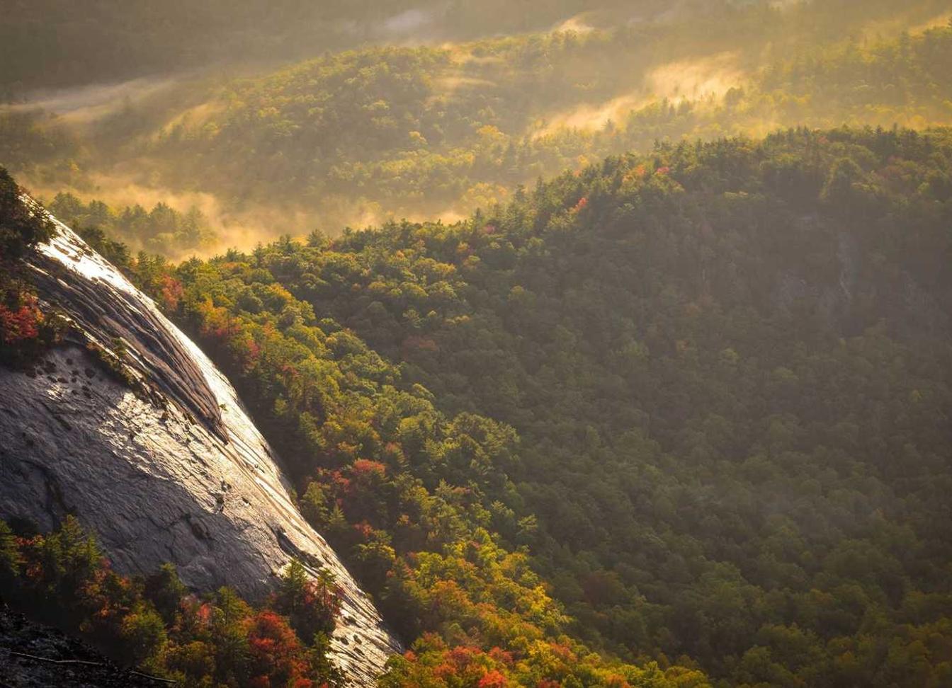 香烟如何影响你的思维？——一篇探究香烟与思维的论文