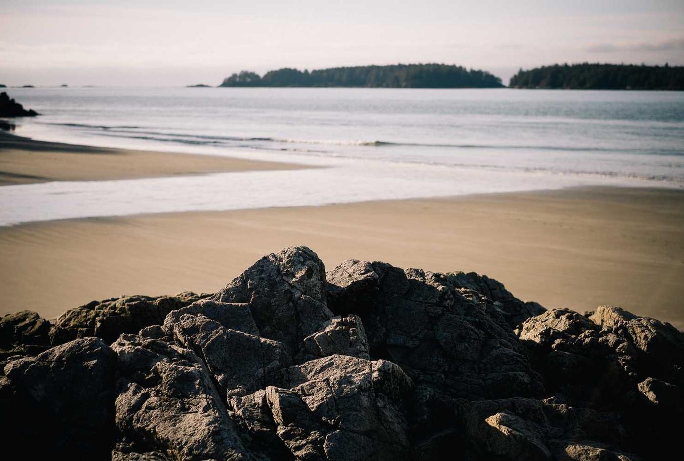 阿里山白大华：水滴直播app详情下载教程