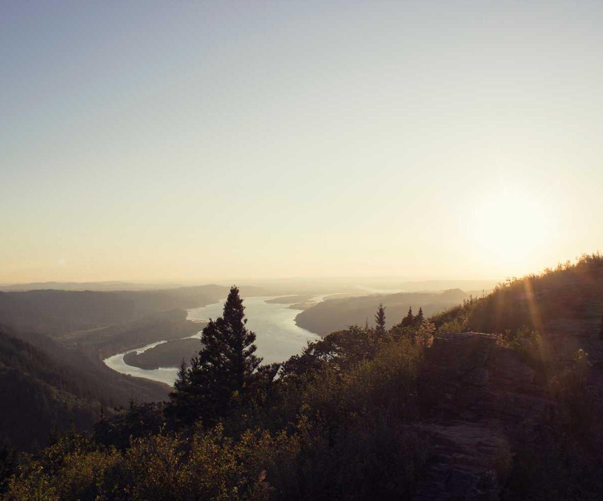 wiston开户外汇平台