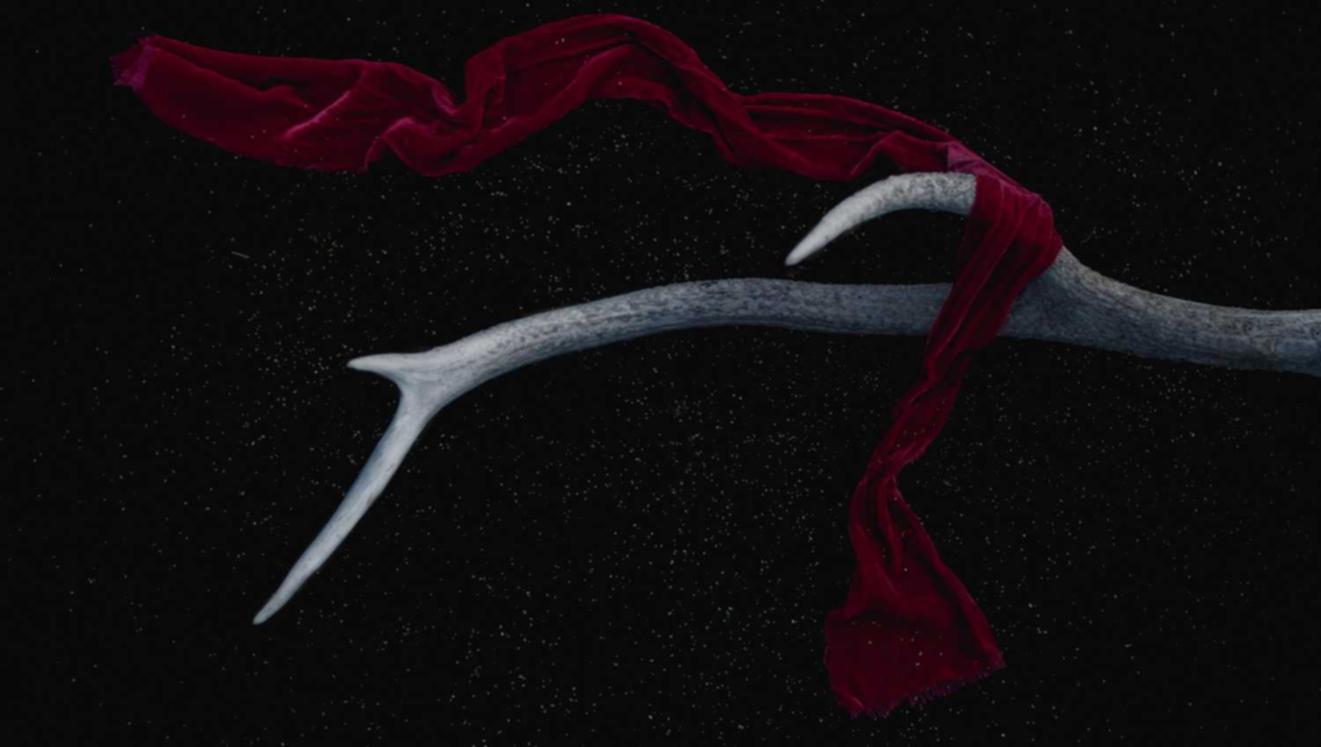 豌豆ip实名账号:潮州专利注册代理公司费用