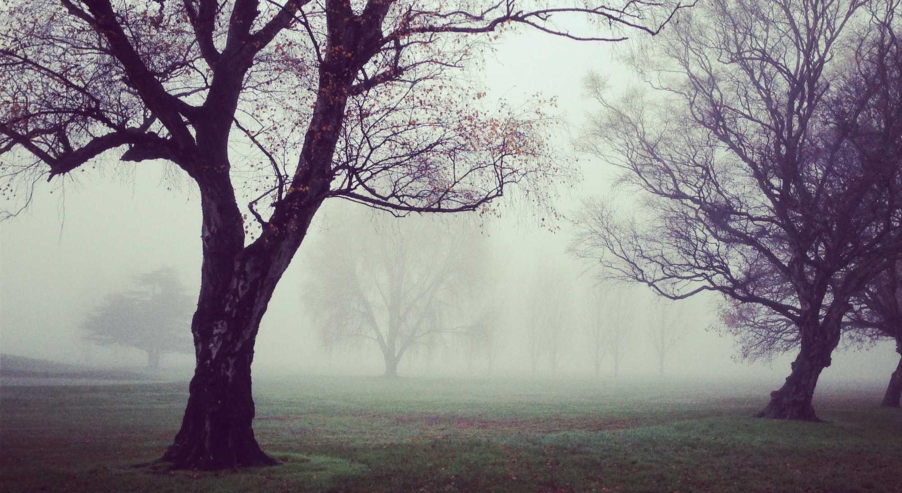 金洋2企业如何采用内容营销来建立品牌