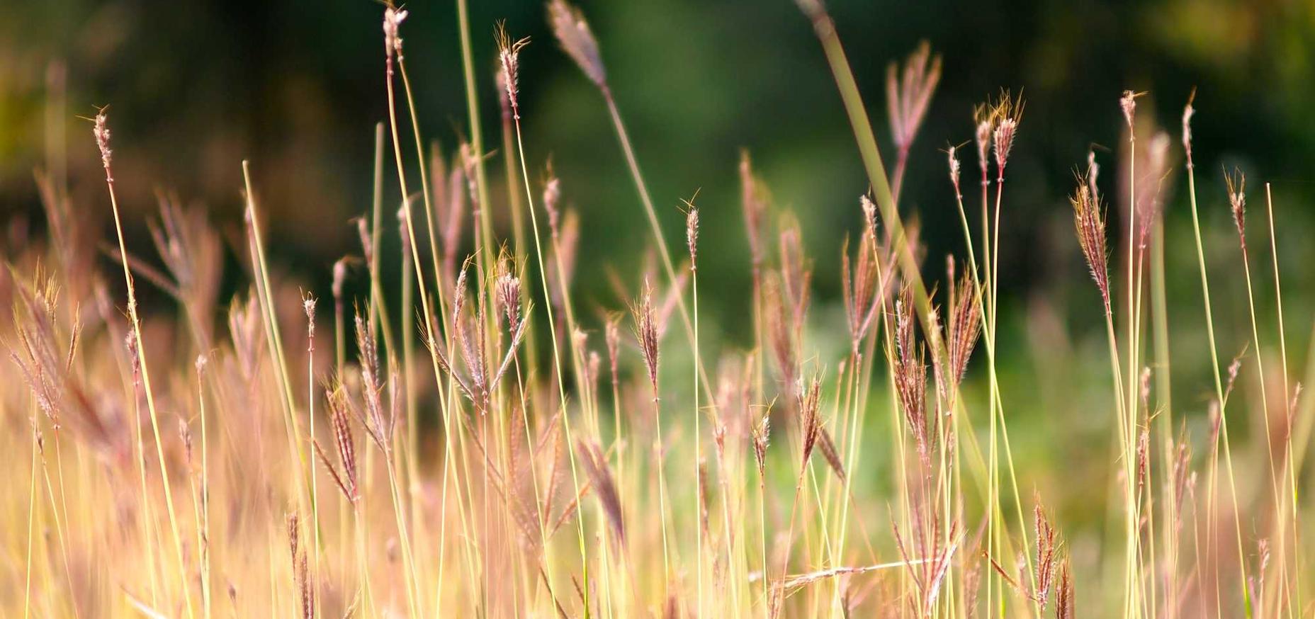 宝塔实名账号:ACDC看图软件详情下载教程app