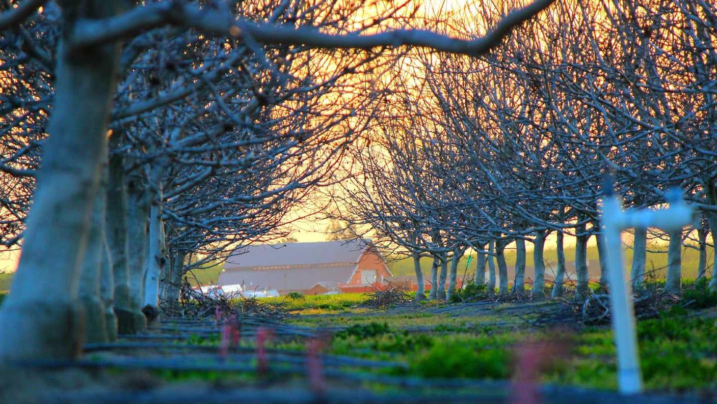 烟草与人权的关系