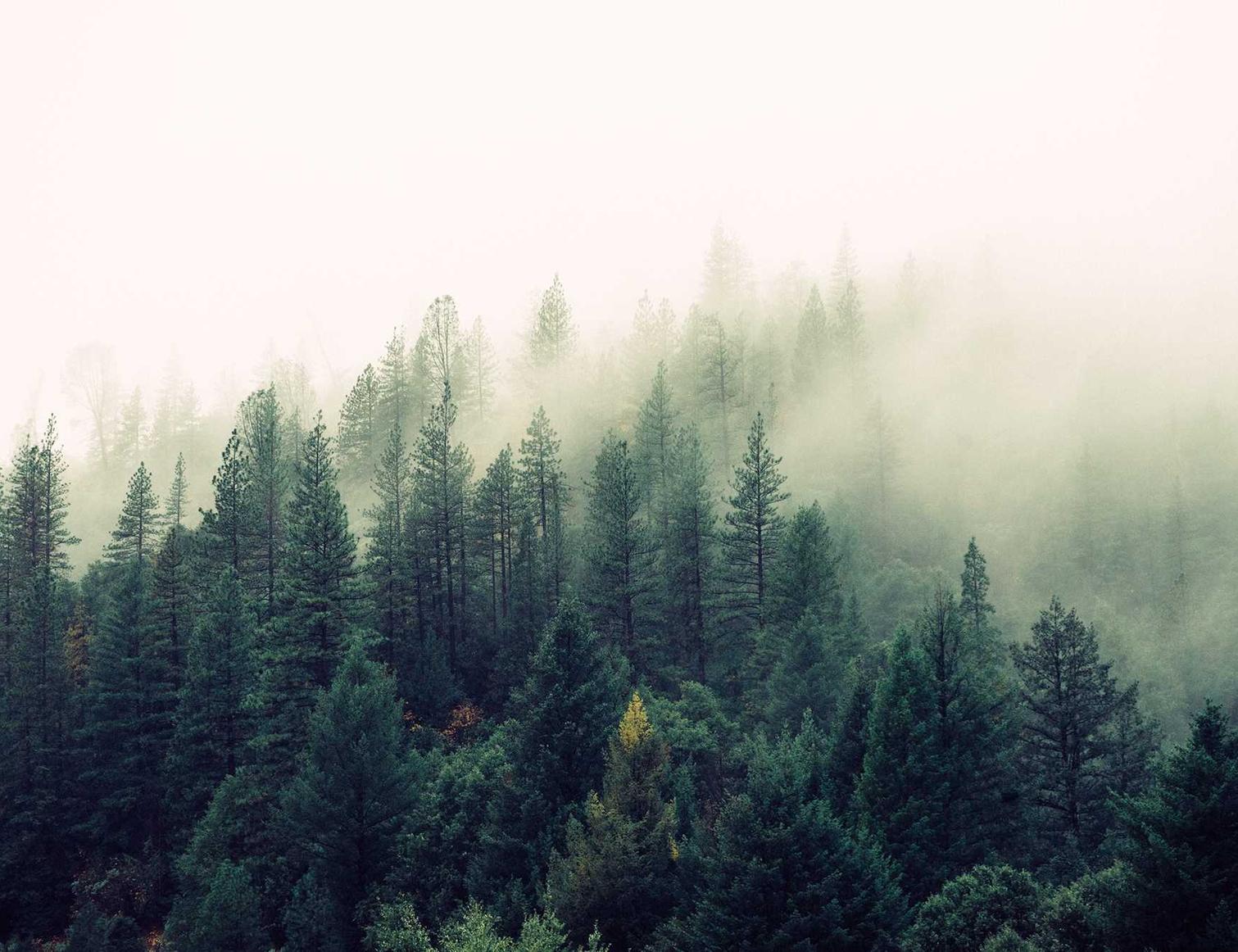 石器时代:觉醒:长丰注册代理记账协议