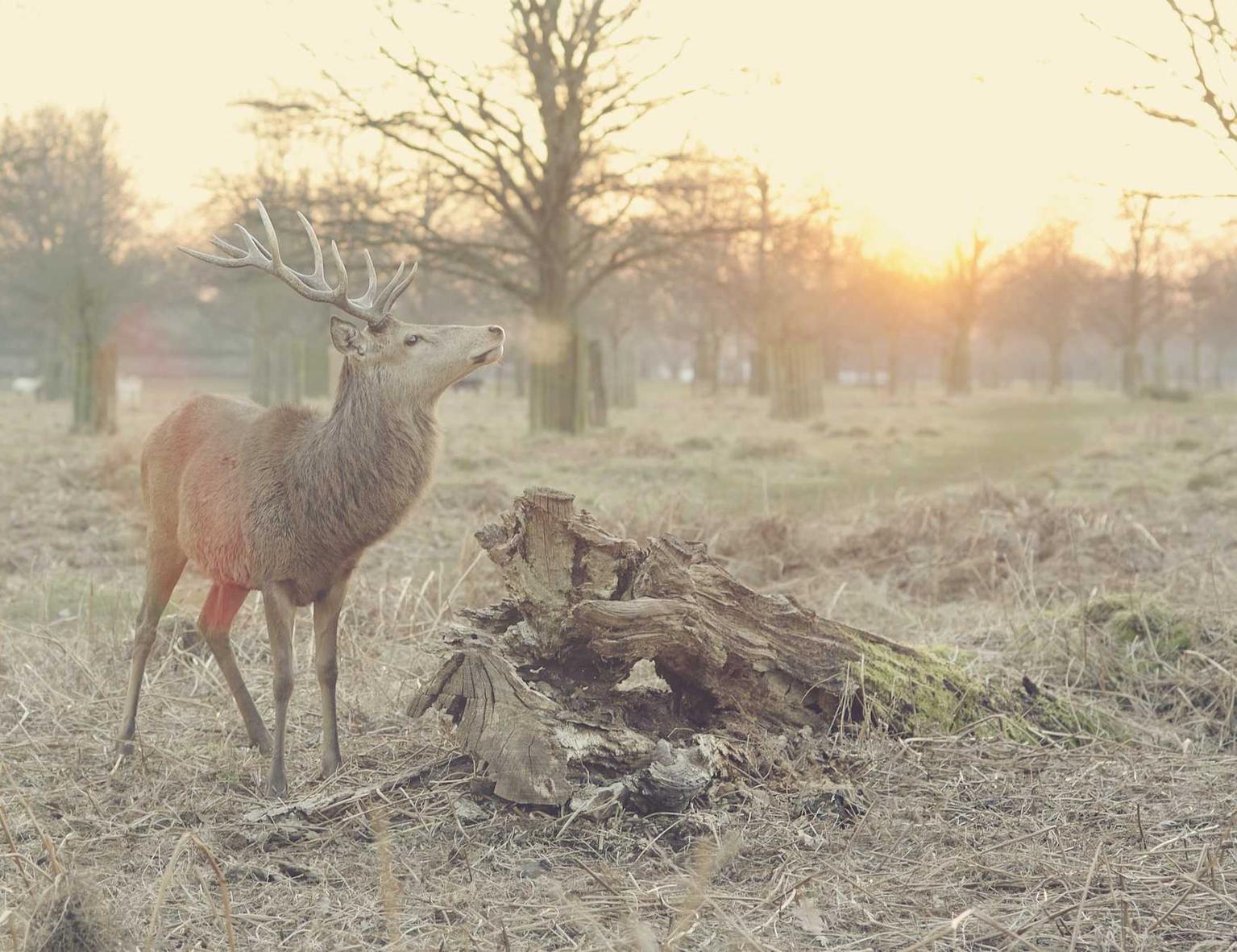 0月租流量卡：优博平台开户流程