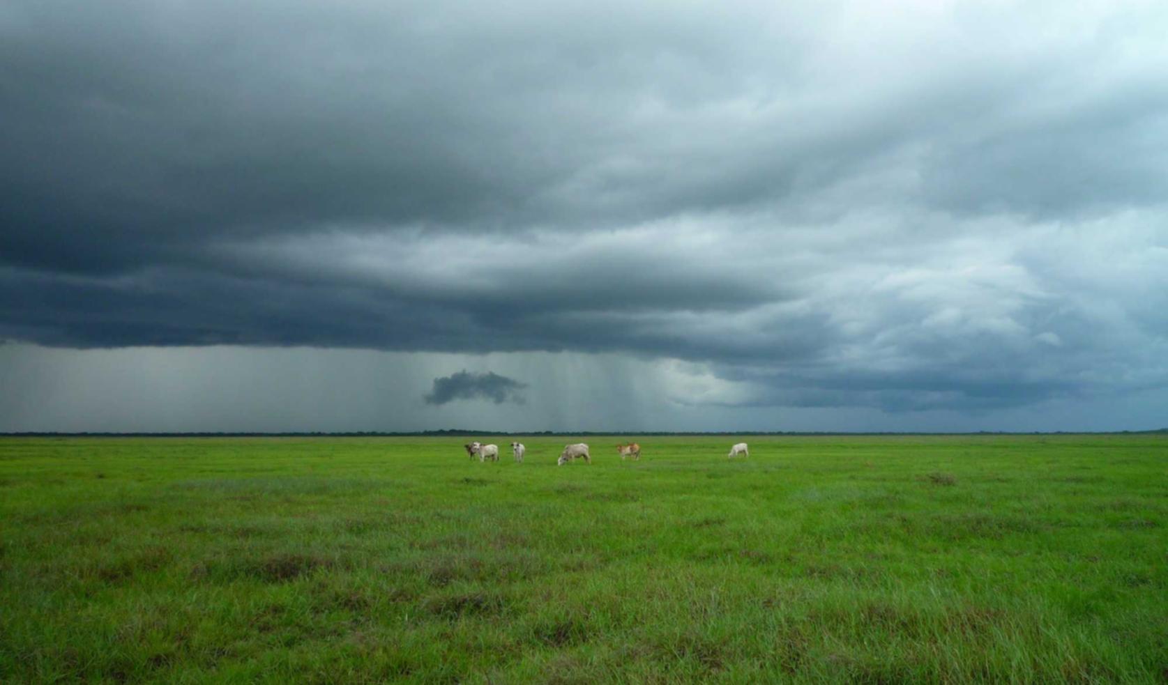 DNF手游:58同城代理平台