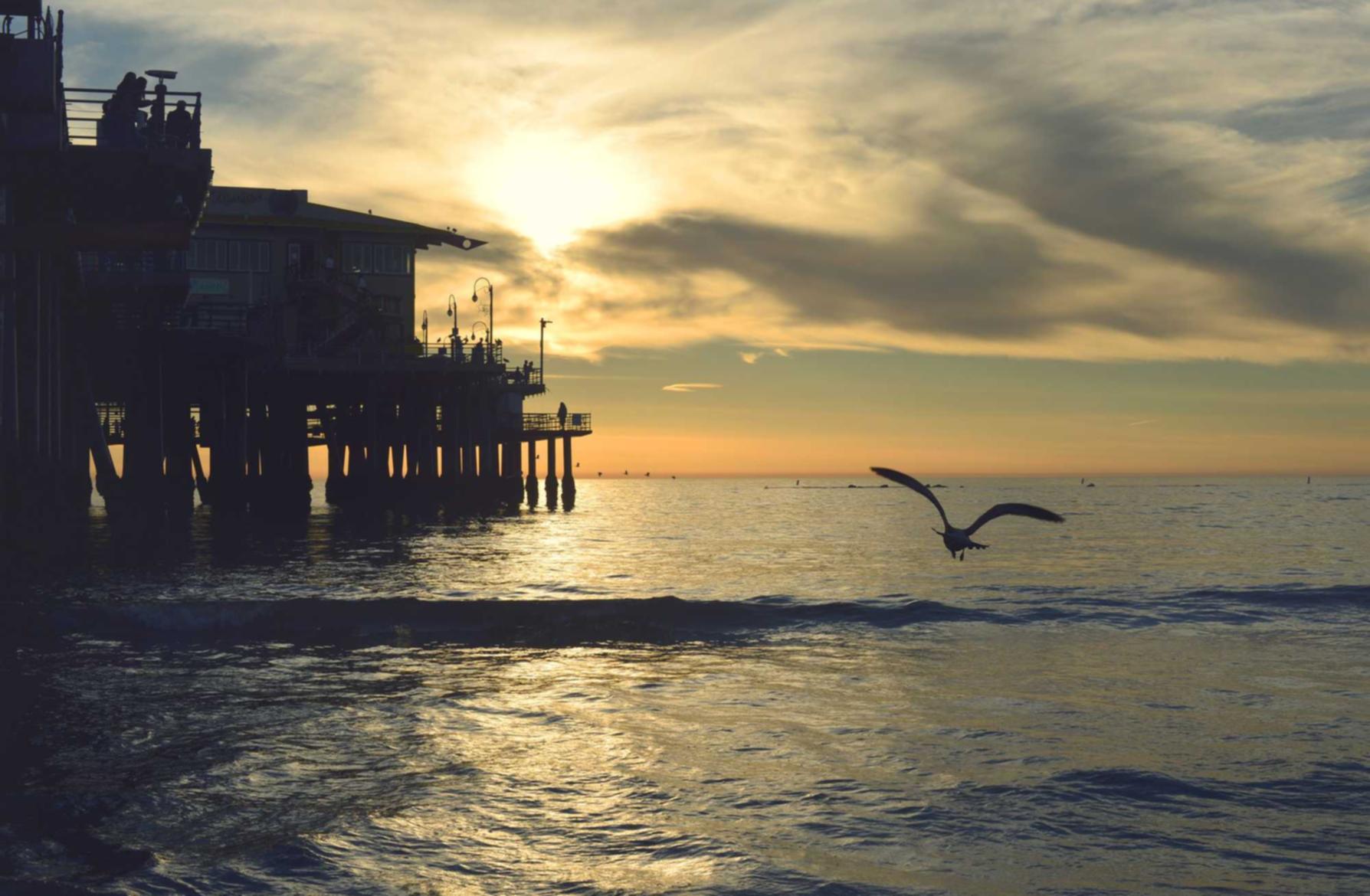 非人学园:app程序详情下载教程地址