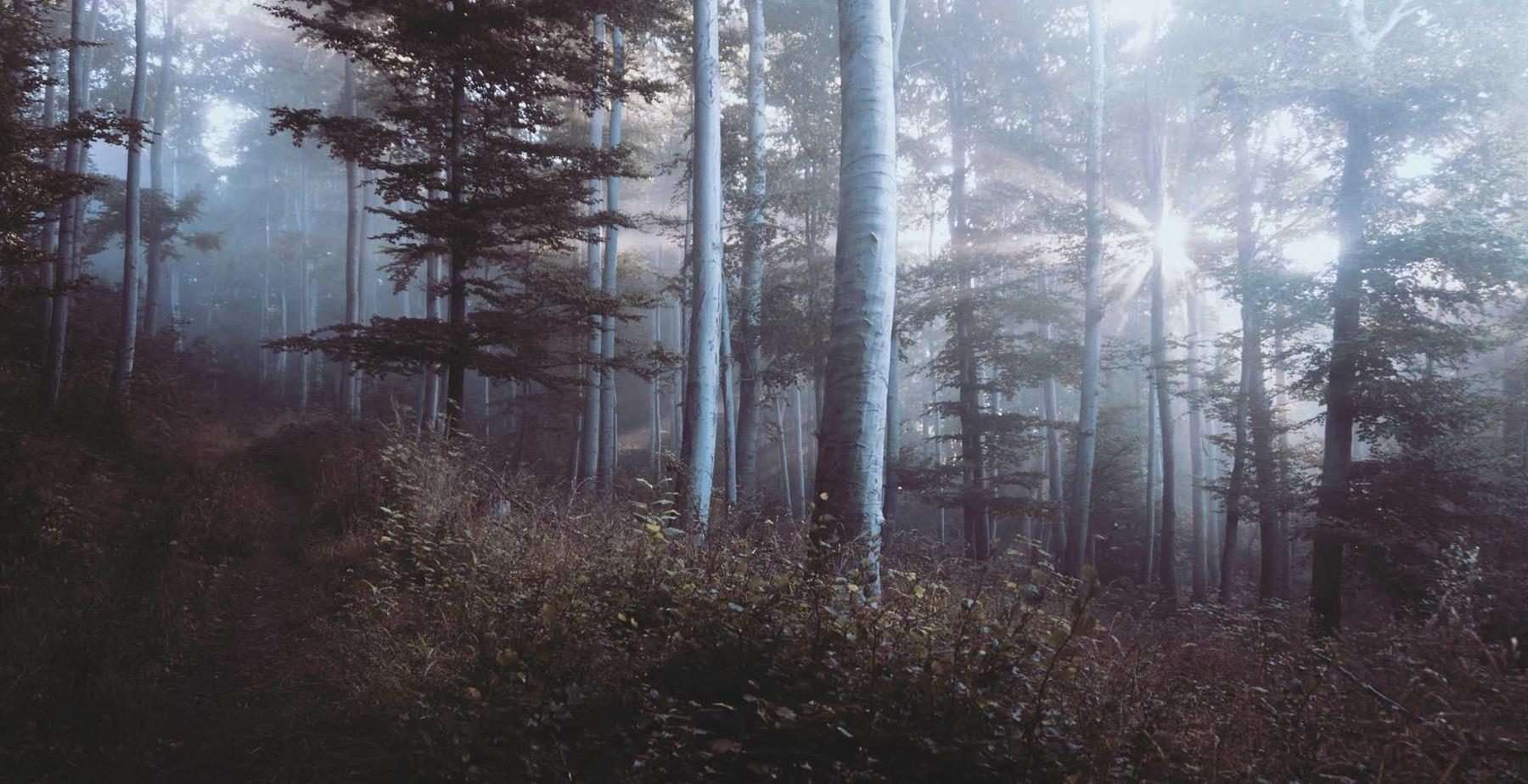 深度ip实名账号:实名制网络对企业信息安全的提升