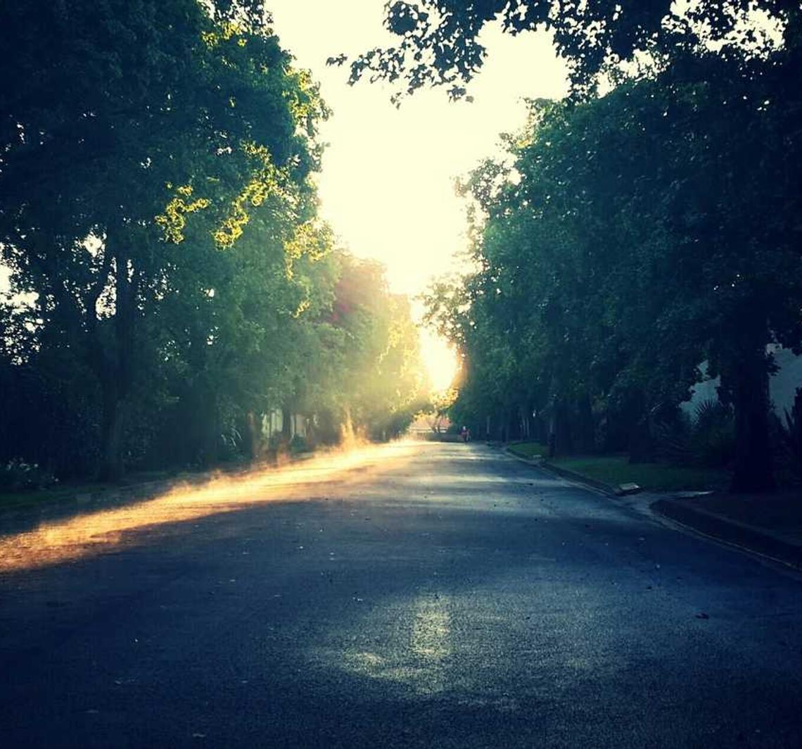 网信移动实名账号：网上平台购买食品