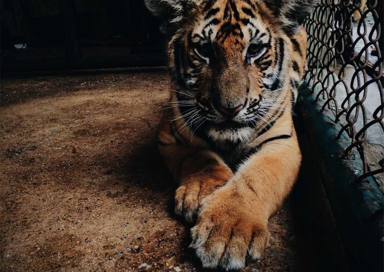 无限互联实名账号：转转app官方详情下载教程