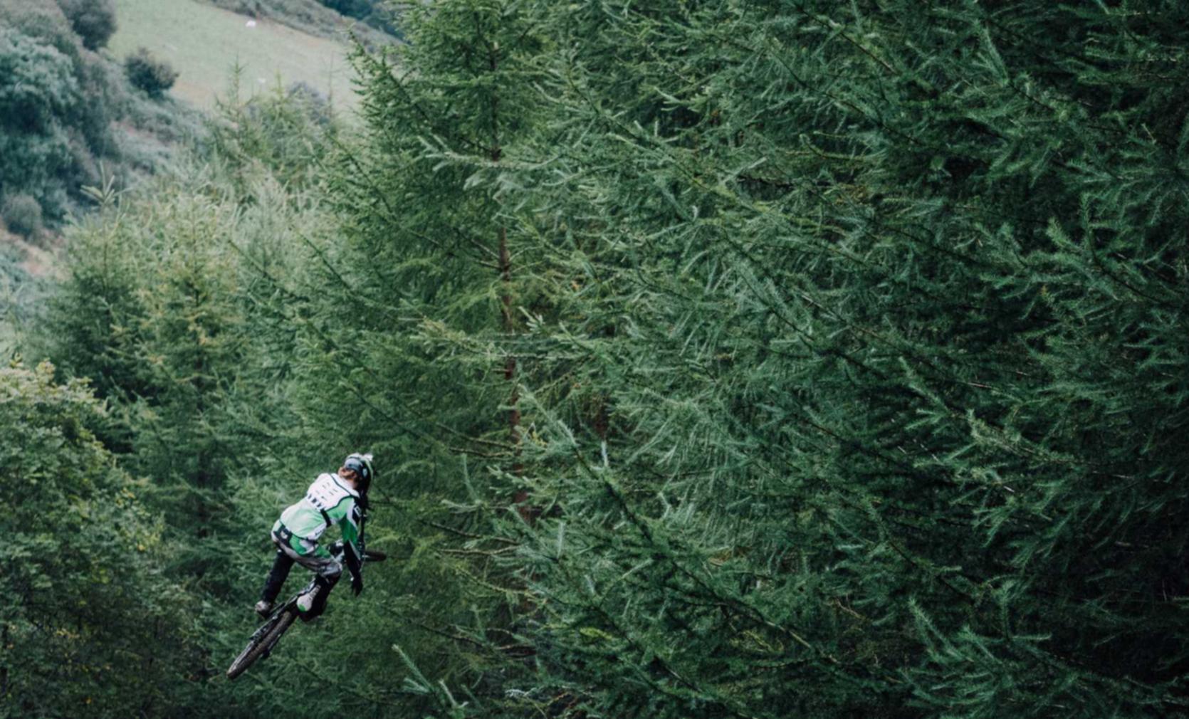 如何挑选 SEO 服务商 