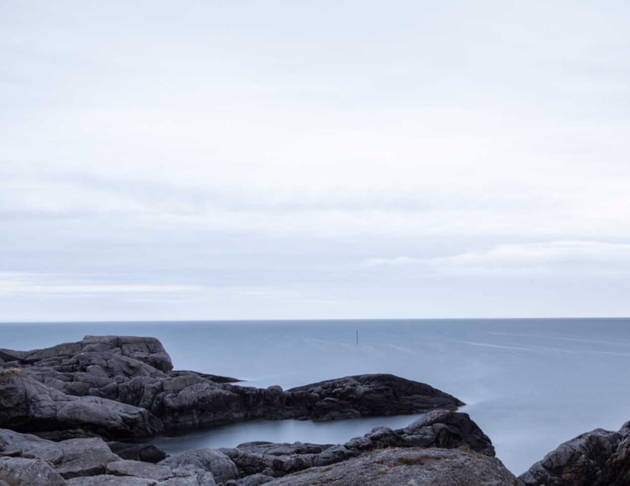 约战：精灵再临：金水区企业商标注册代理