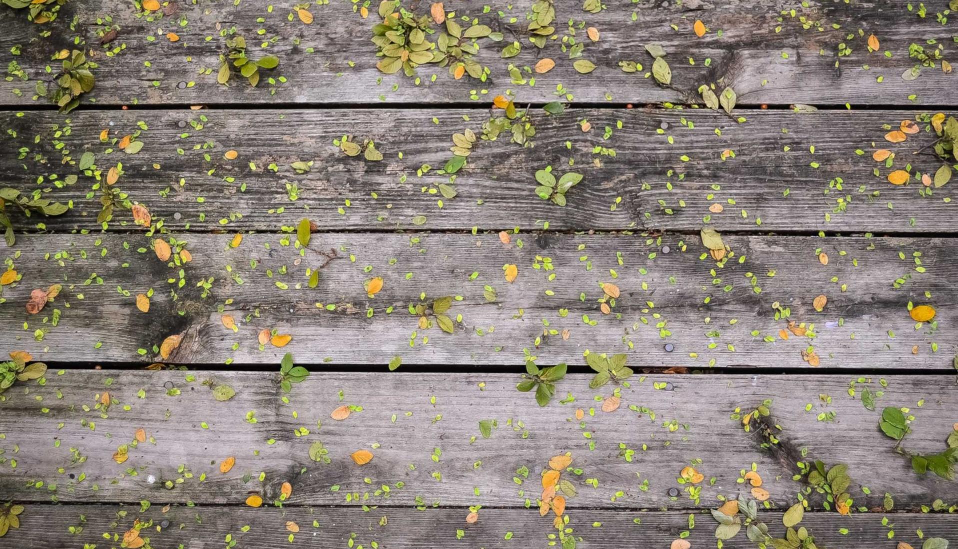 在线DDOS压力测试网页端|代理外卖平台手续