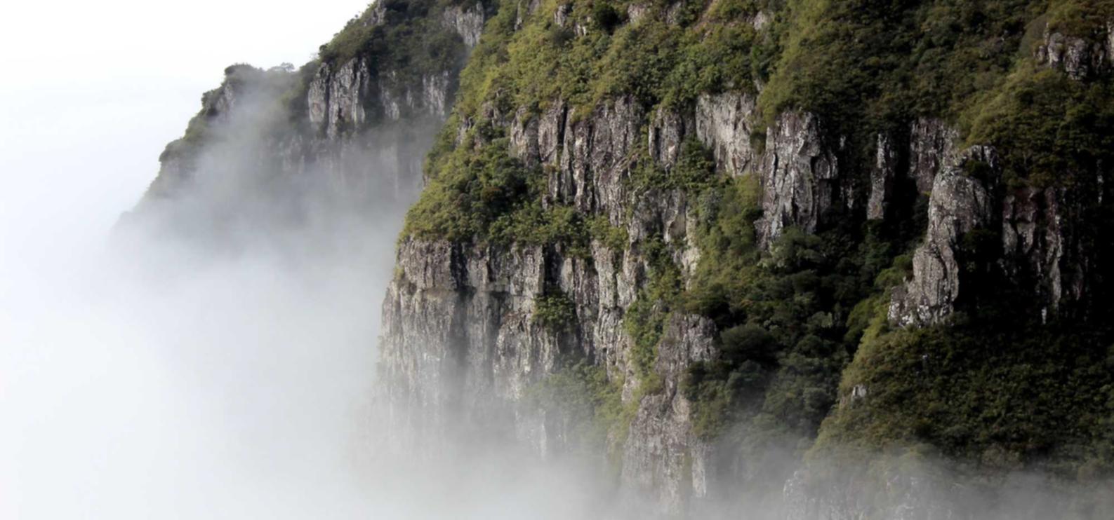 哪个平台购买茶叶