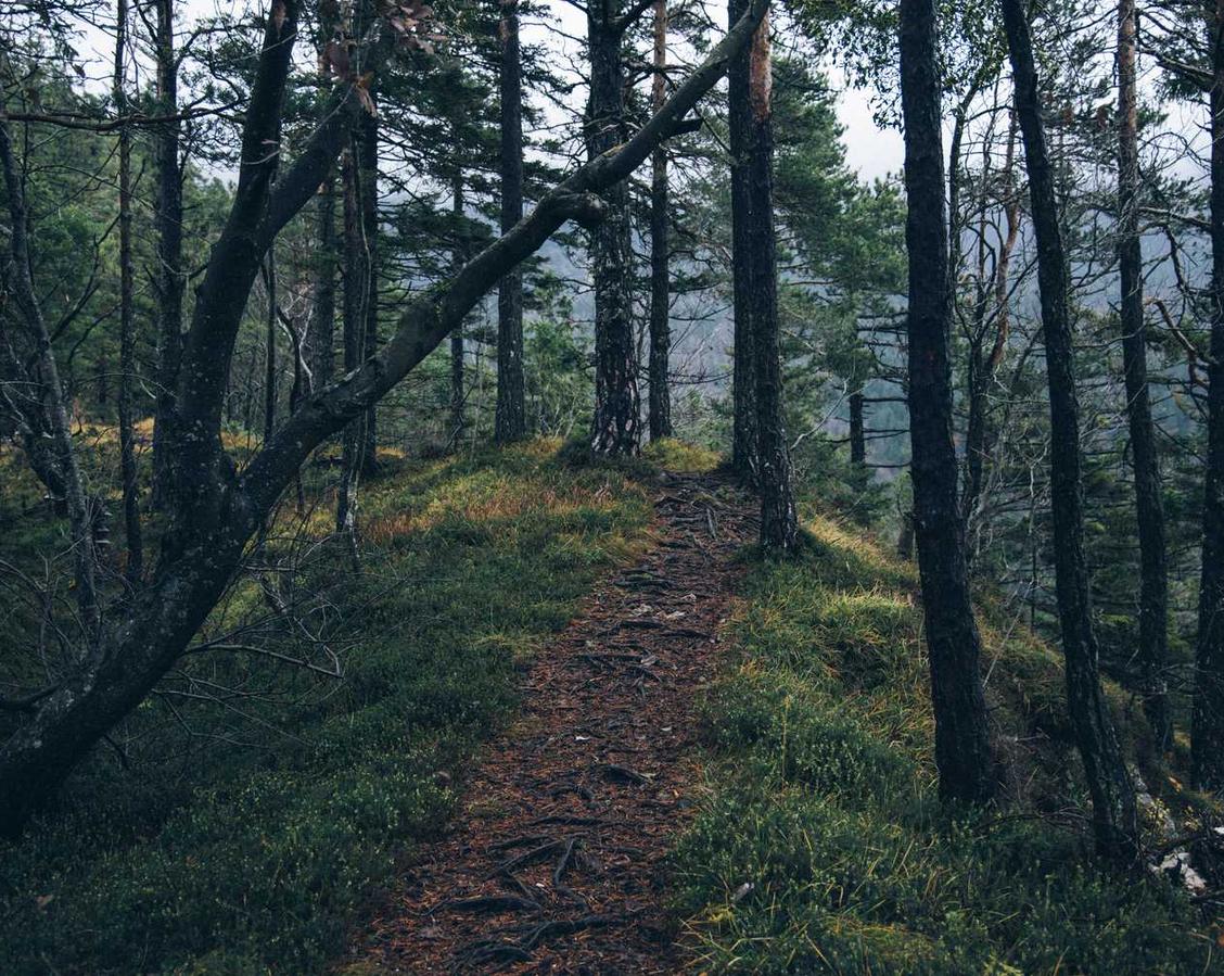 国外ddos攻击页端|怎么样查看注册的微信账号