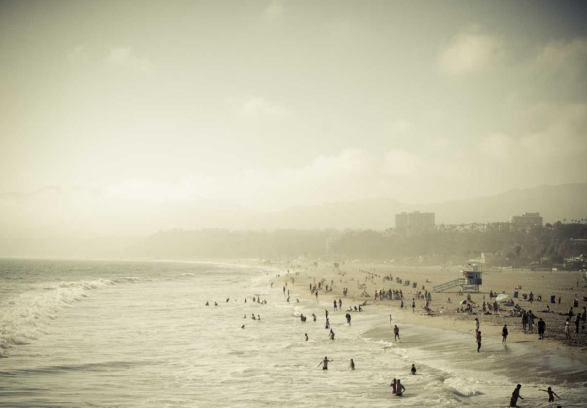 不停实名三网卡- 陇川蔬菜购买平台