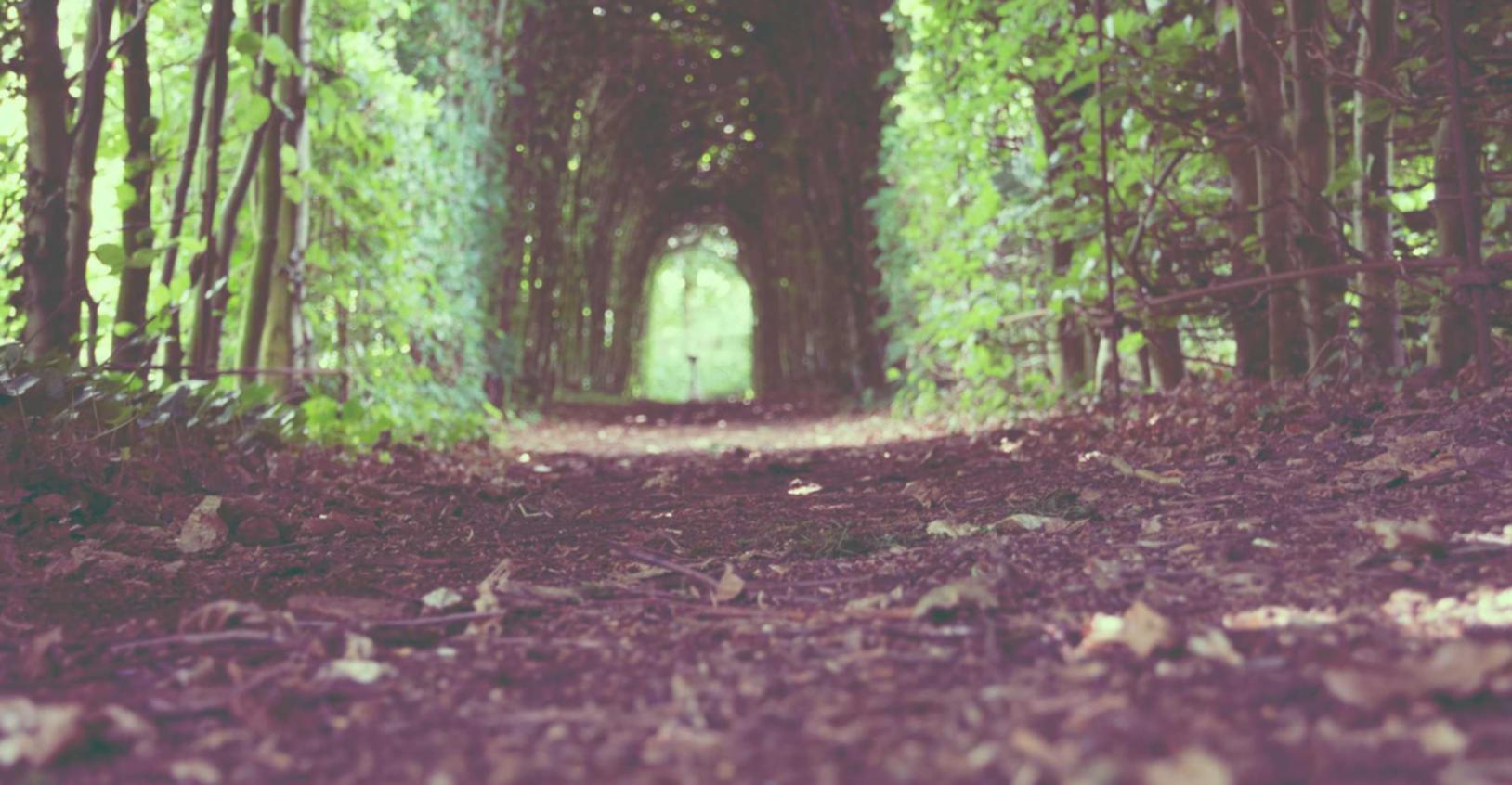 私人vx号买卖：流量卡的使用和管理技巧