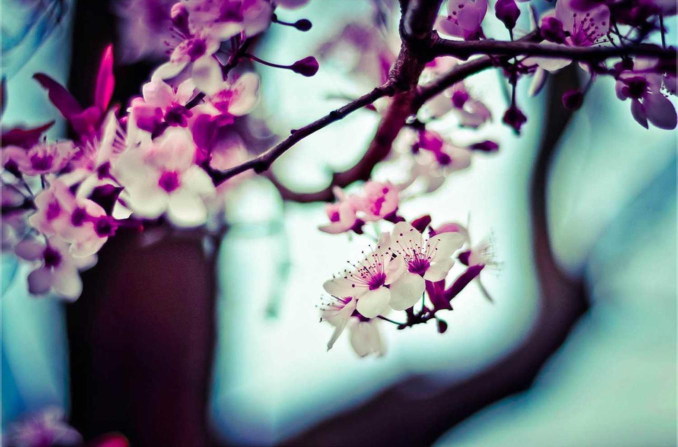 买卖微信号码:实力平台代理