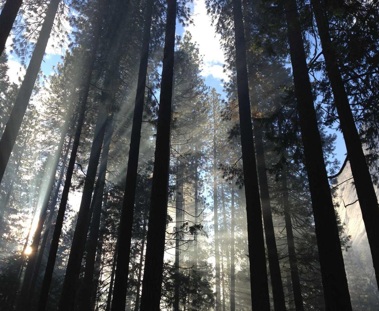 syn攻击|购买外币平台