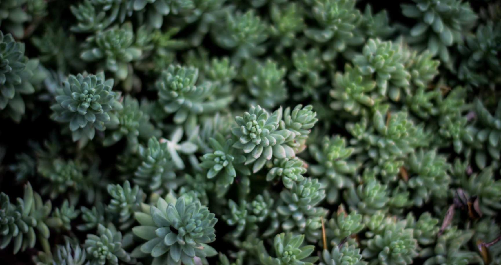 华为云实名账号：老司机视频详情下载教程app详情下载教程