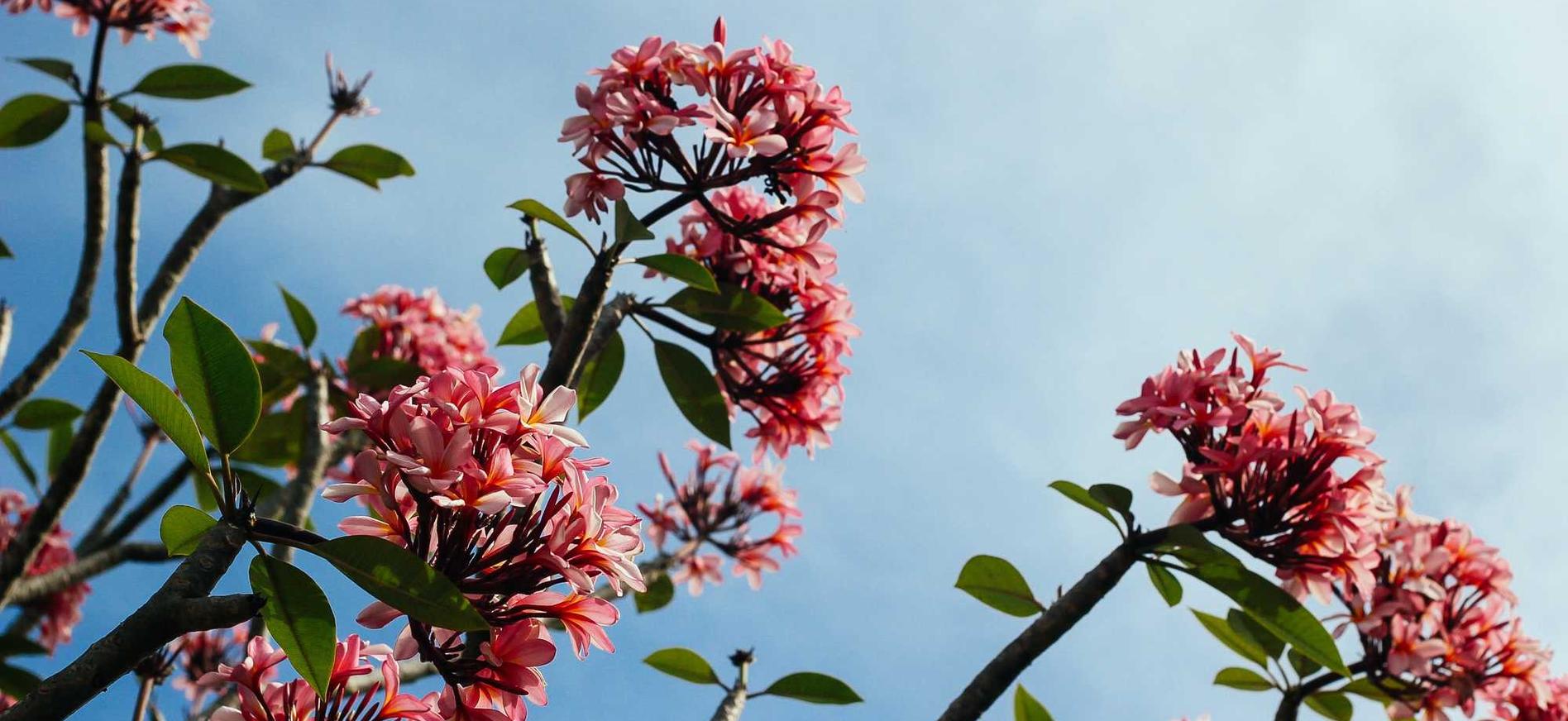 三国志：战略版辅助- 高陵区代理注册工商