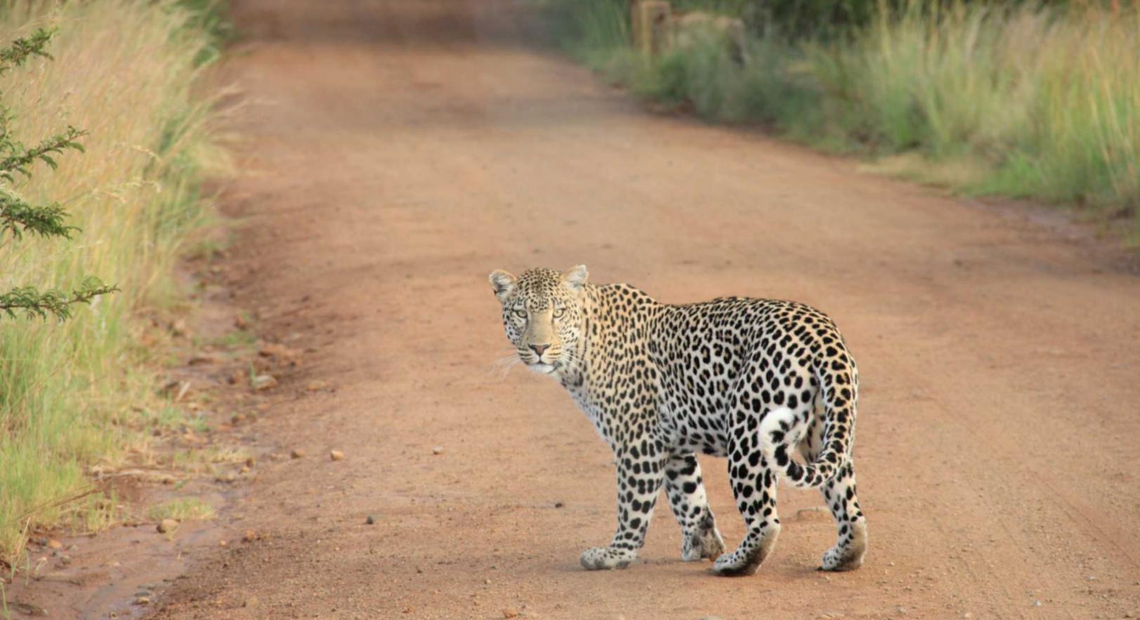 三五互联实名账号：长宁代理注册公司办理价格