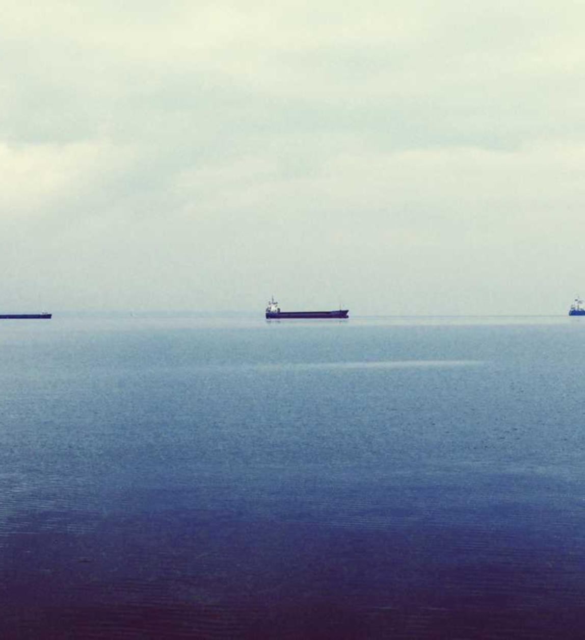 虞城烟花购买平台