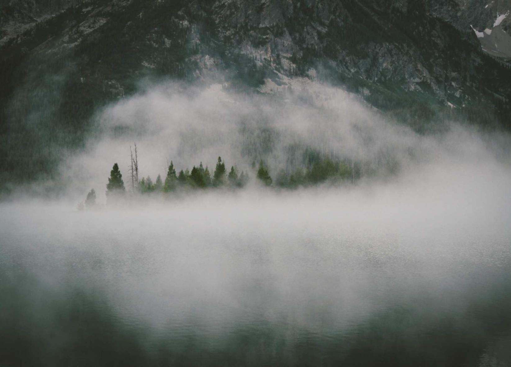 云呼系统实名账号：网易代理的平台