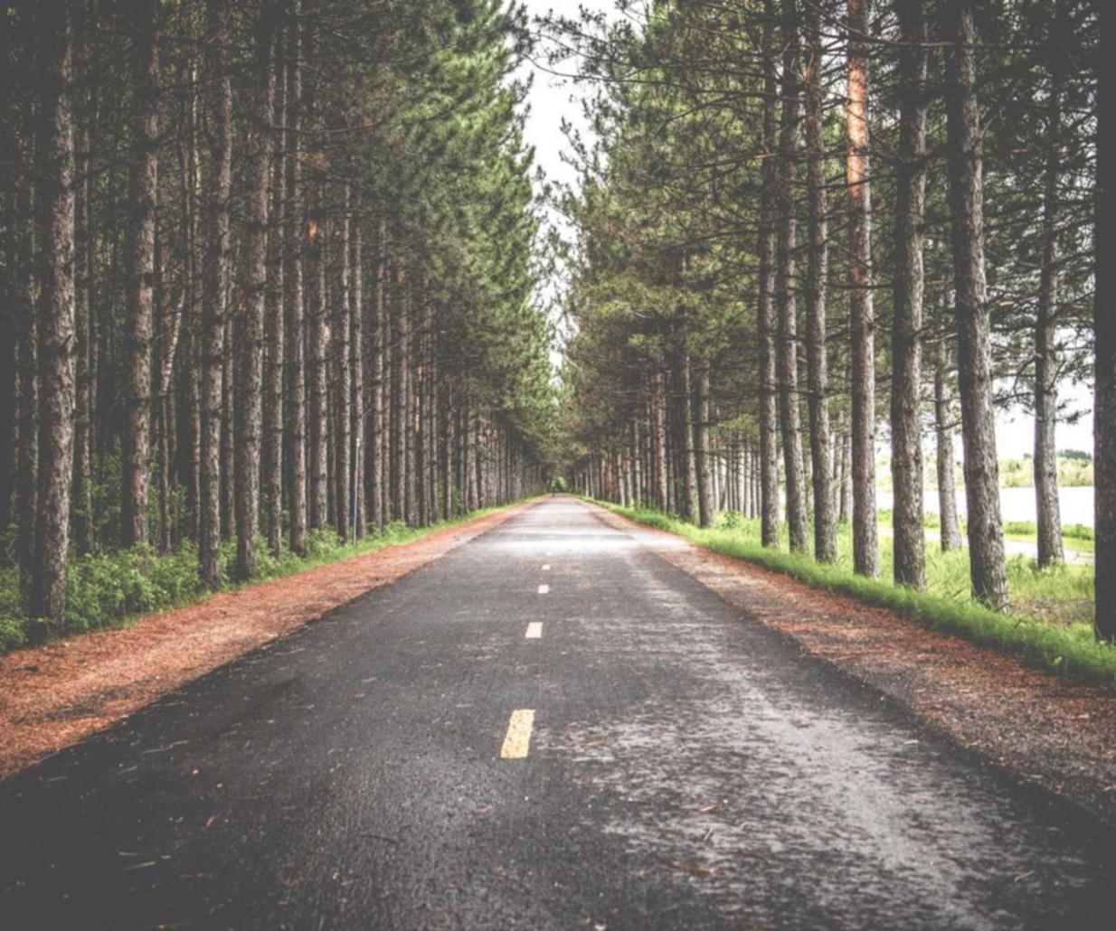 无极腹肌 app详情下载教程